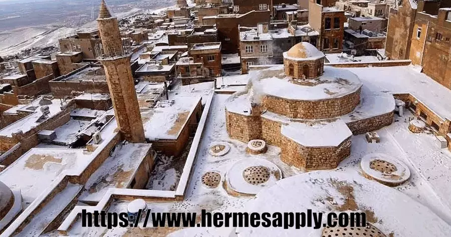 ماردین