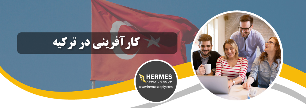 کارآفرینی در ترکیه